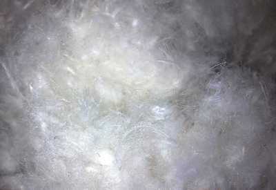 南海市水洗羽絨制品廠_世界工廠網(wǎng)全球企業(yè)庫(kù)