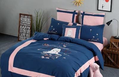 從小作坊到羽絨帝國 一位創(chuàng)業(yè)者的堅(jiān)守與智慧