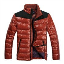 時尚與溫暖并存 探索與狼共舞 d wolves 羽絨服的細節魅力與報價